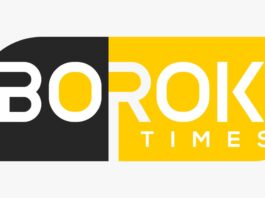 Borok Times logo