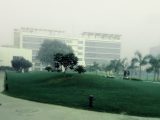 Viral clip captures ‘we want hike’ chants at HCLTech event
