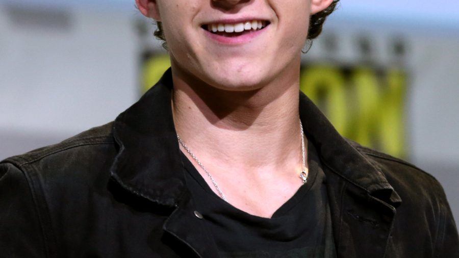 Tom Holland (representative image)