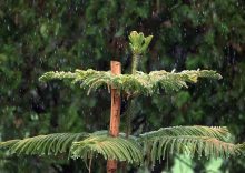 Delhi flight delays likely as airlines flag continued monsoon rain