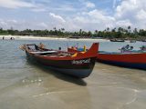 Kerala under yellow alert, fishing banned amid widespread rain
