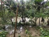 Heavy rain alert for 19 states as IMD warns of flash floods