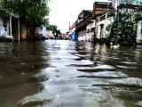 Uttar Pradesh floods: Schools shut, crops damaged