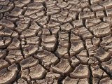 India: Karnataka drought hits 177 taluks, state seeks central aid