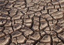 India: Karnataka drought hits 177 taluks, state seeks central aid