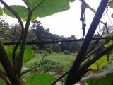 Weather split: Rain in the south, dry heat up north