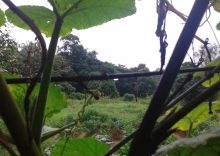Weather split: Rain in the south, dry heat up north